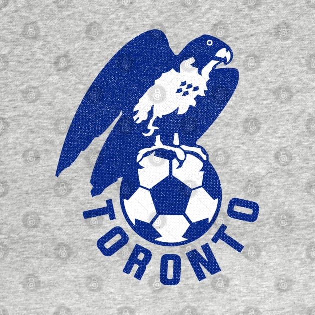 Defunct - Toronto City Soccer by LocalZonly